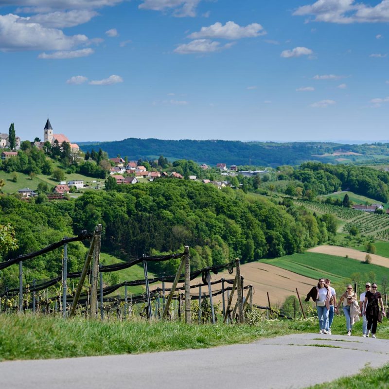 WWDS-Weinweg-der-Sinne