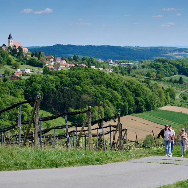 WWDS-Weinweg-der-Sinne
